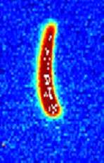 extracted EMMA beam